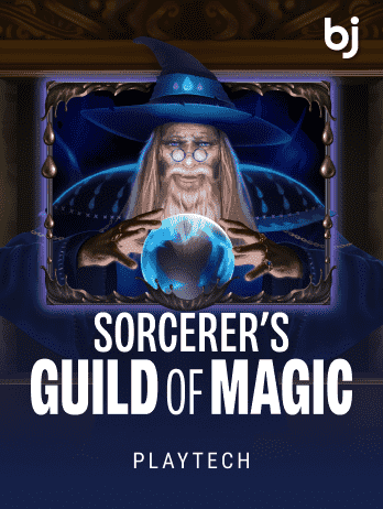 Sorcerer's Guild of Magic